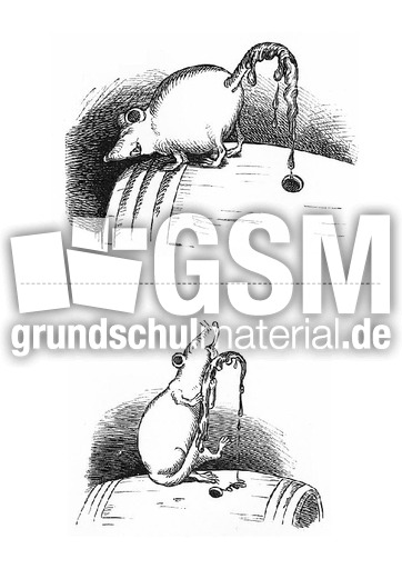 Die-kluge-Ratte Bild 3.pdf